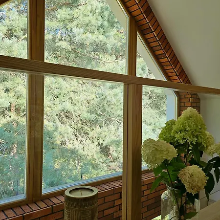 W Lesie Z Kominkiem I Ogrodem Niedalino