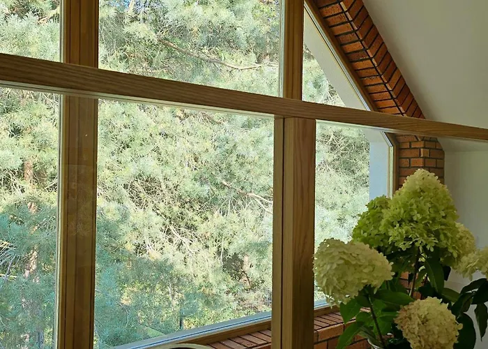 W Lesie Z Kominkiem I Ogrodem Niedalino